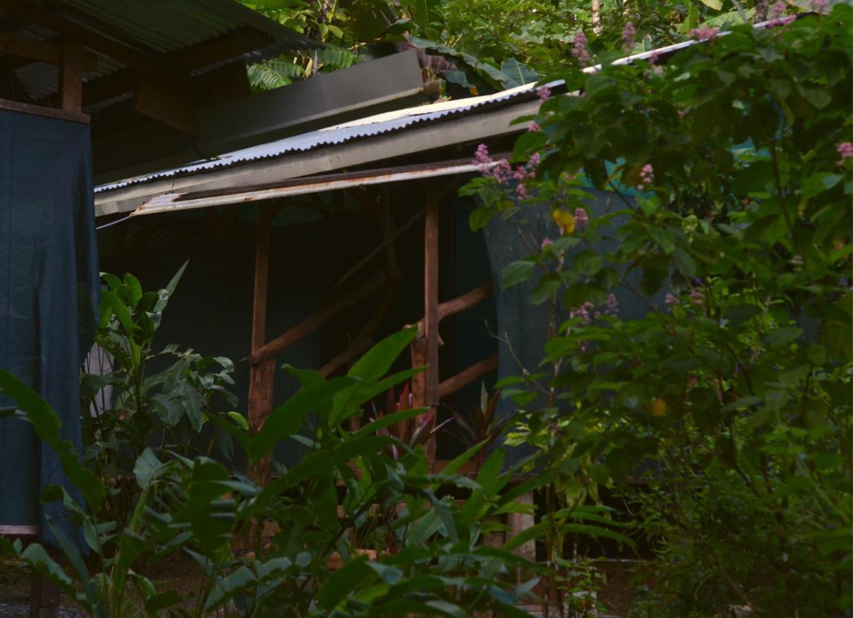 Hotel Corcovado Guide House Barrigones Exterior foto